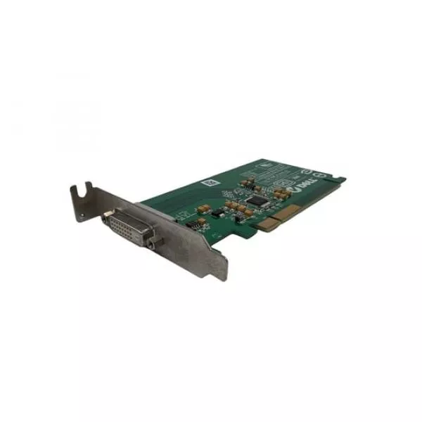 Videokártya Dell DVI-D card LP (No GPU)