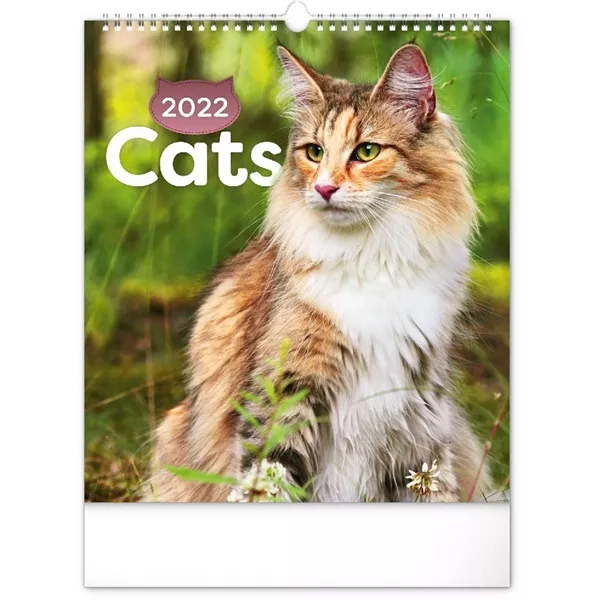 Realsystem 2025 Cats 6087-CA falinaptár