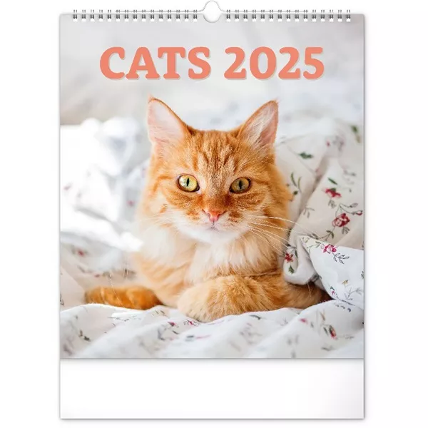 Realsystem 2025 Cats 6087-CA falinaptár