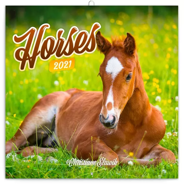 Realsystem 2025 Horses 6097-HO falinaptár