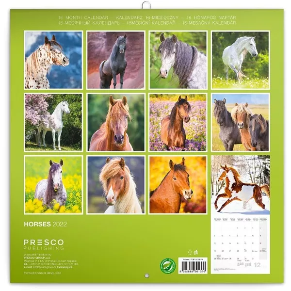 Realsystem 2025 Horses 6097-HO falinaptár