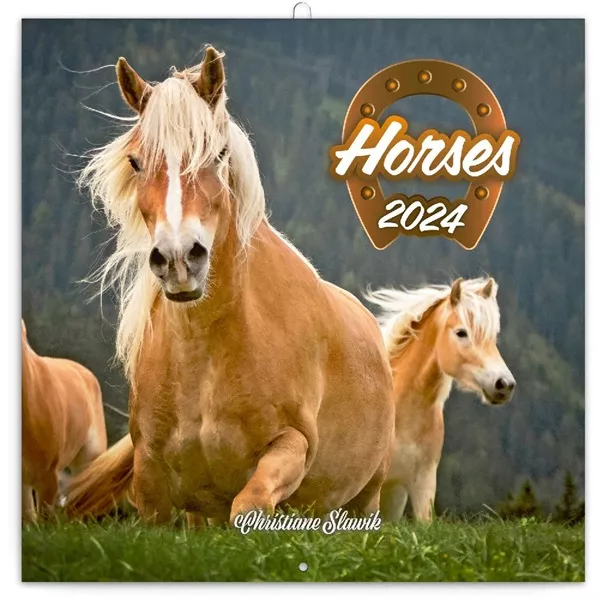 Realsystem 2025 Horses 6097-HO falinaptár