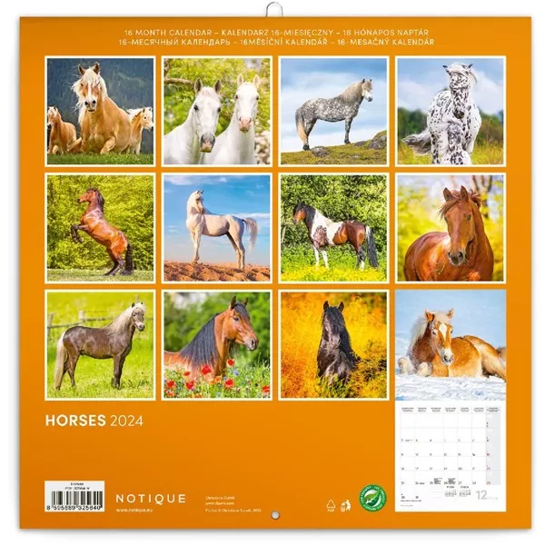 Realsystem 2025 Horses 6097-HO falinaptár