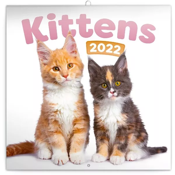 Realsystem 2025 Kittens 6097-KI falinaptár