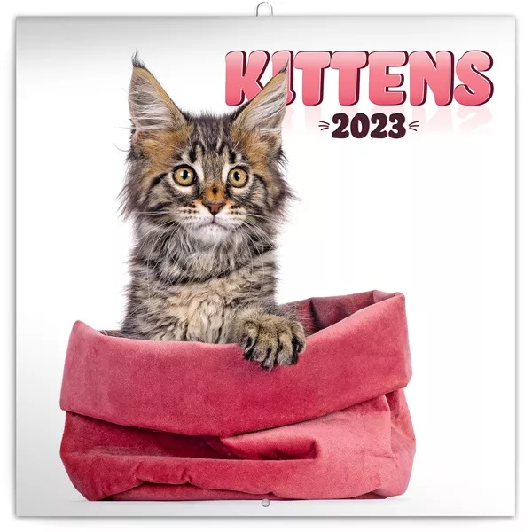 Realsystem 2025 Kittens 6097-KI falinaptár