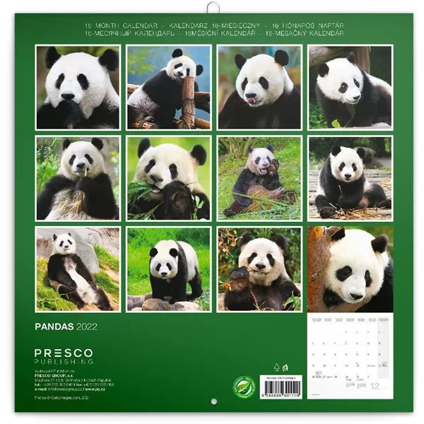 Realsystem 2025 Pandas 6097-PS lemeznaptár