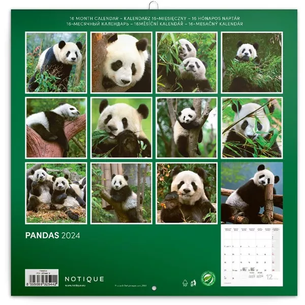 Realsystem 2025 Pandas 6097-PS lemeznaptár