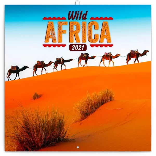 Realsystem 2024-es Wild Africa 6097-WA falinaptár