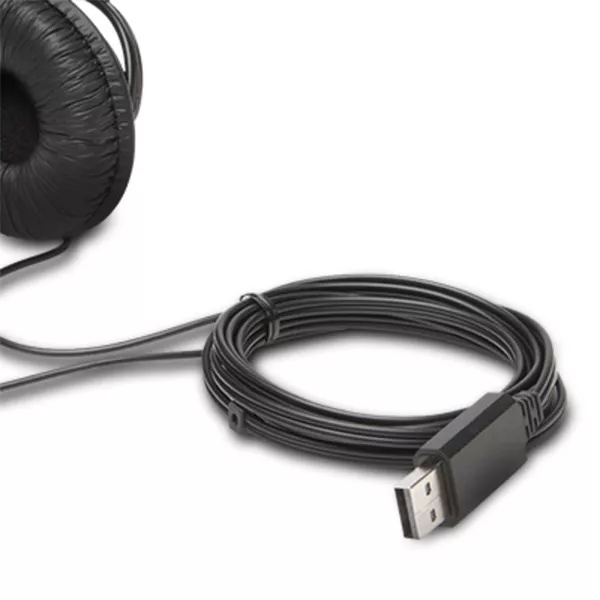 Kensington K97601WW USB HiFi headset