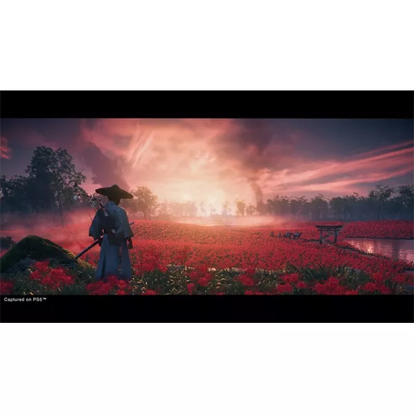 Ghost of Tsushima Director`s Cut PS4/PS5 játékszoftver