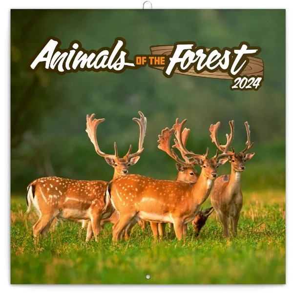 Realsystem 2025 Animals of the Forest 6097 falinaptár