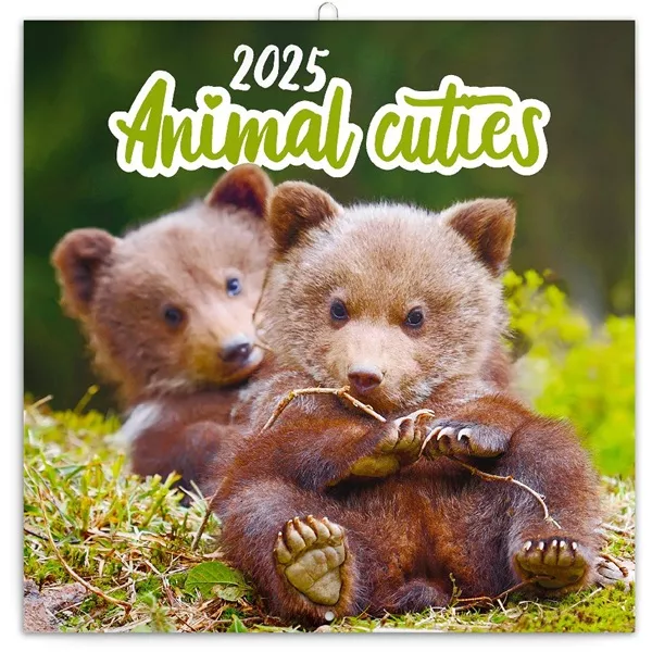 Realsystem 2025 Animal Cuties 6097-AC falinaptár