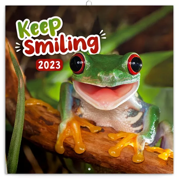 Realsystem 2025 Keep smiling 6097-KS falinaptár