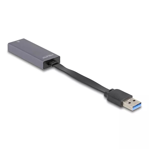 Delock 66247 USB A - 2,5 Gigabit LAN adapter
