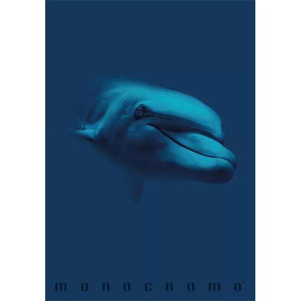 Pigna Monocromo Blue A4 tűzött 38 lapos kockás füzet