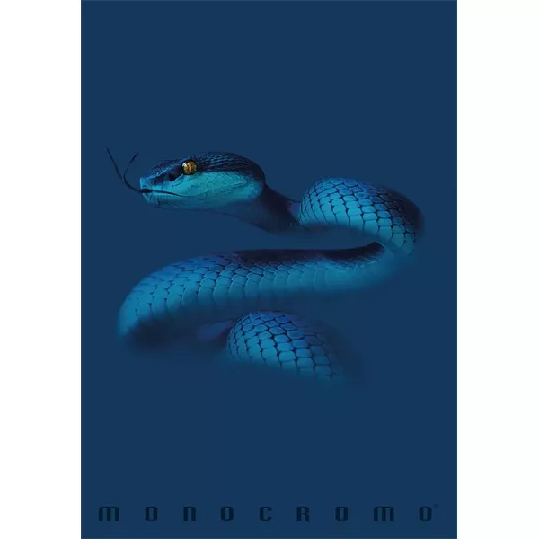 Pigna Monocromo Blue A4 tűzött 38 lapos kockás füzet