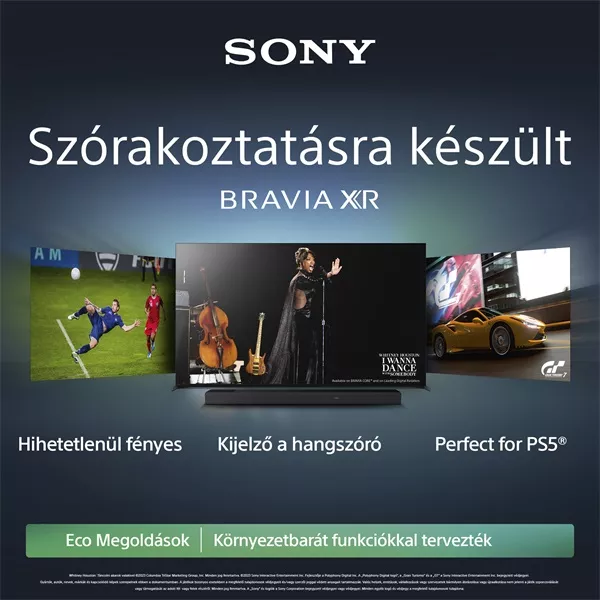 Sony 83