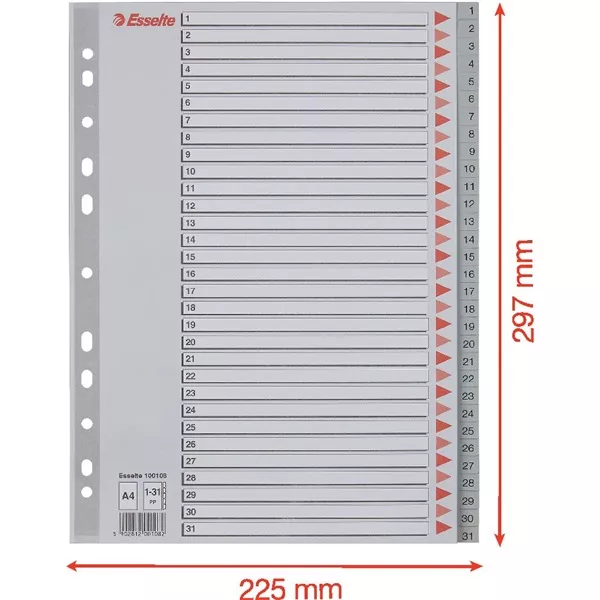 Esselte A4  1-31 műanyag regiszter