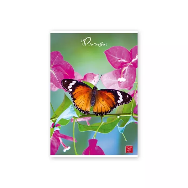 Pigna Butterflies A4 42 lap, tűzött, vonalas füzet