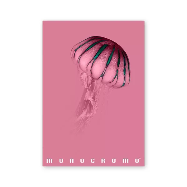 Pigna Monocromo Pink A4 38 lap, tűzött, kockás füzet