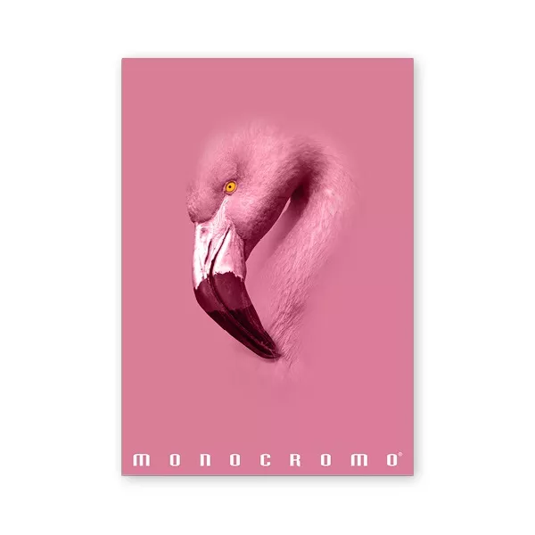 Pigna Monocromo Pink A4 38 lap, tűzött, kockás füzet