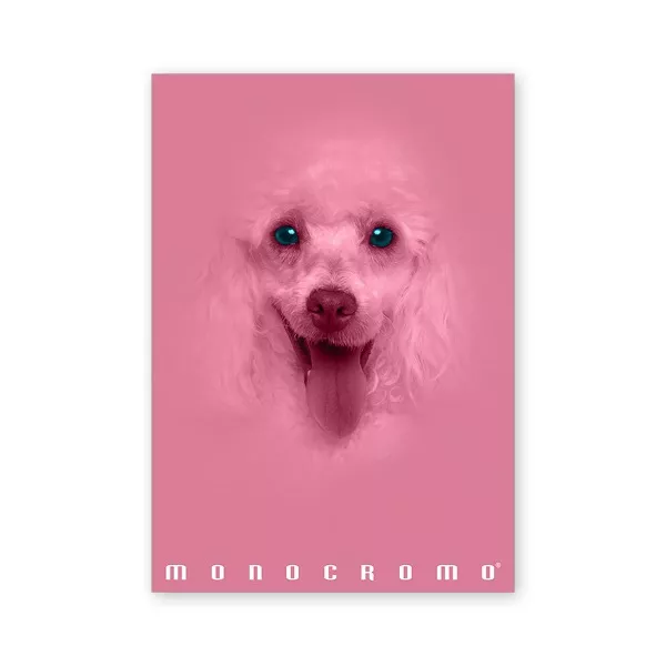 Pigna Monocromo Pink A4 38 lap, tűzött, vonalas füzet