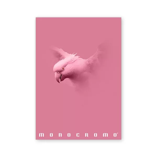 Pigna Monocromo Pink A4 38 lap, tűzött, vonalas füzet