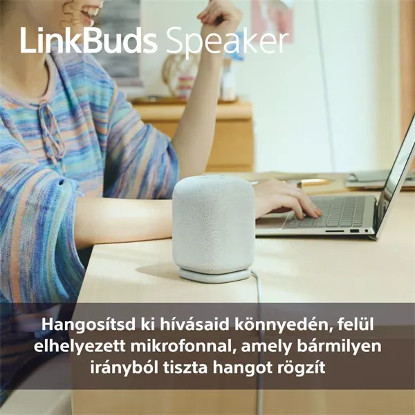 Sony SRS-LS1 LinkBuds szürke hordozható Bluetooth hangszóró